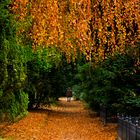 Flensburger Herbst