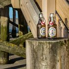 Flensburger_SPO