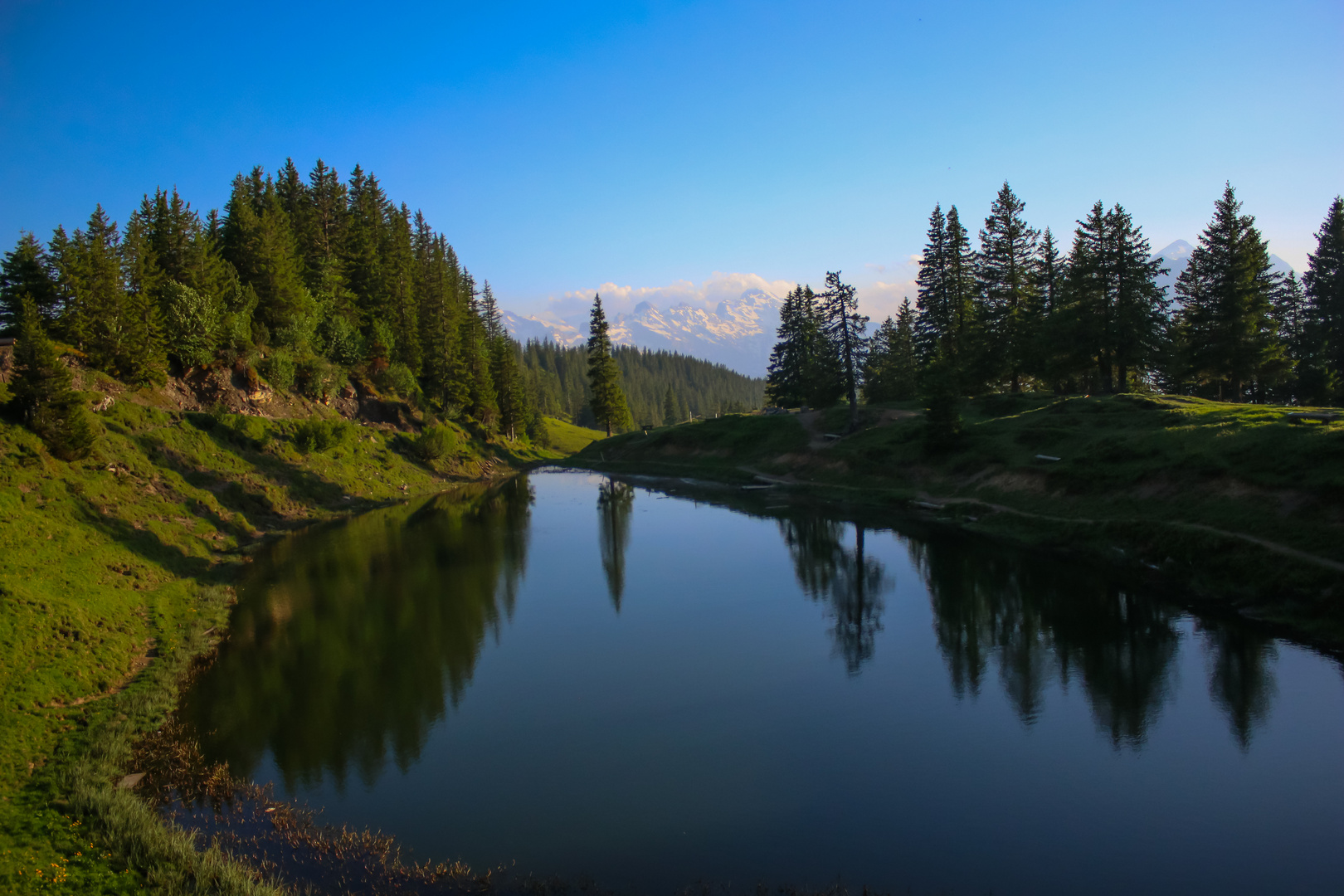 Fleschsee