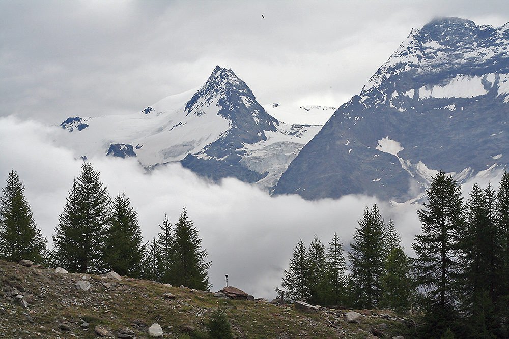 Fletsch- und Lagginhorn im Hintergrund