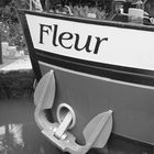 Fleur