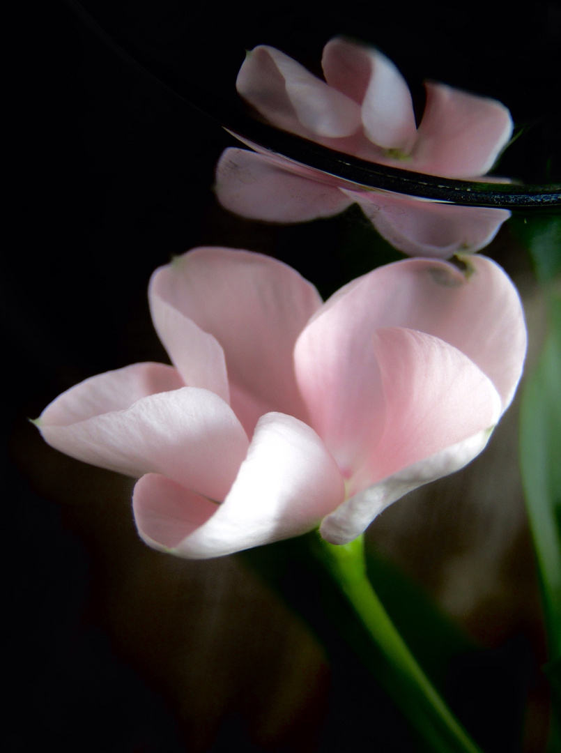 À fleur affleure.