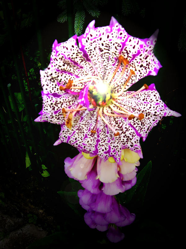 Fleur avec un parapluie