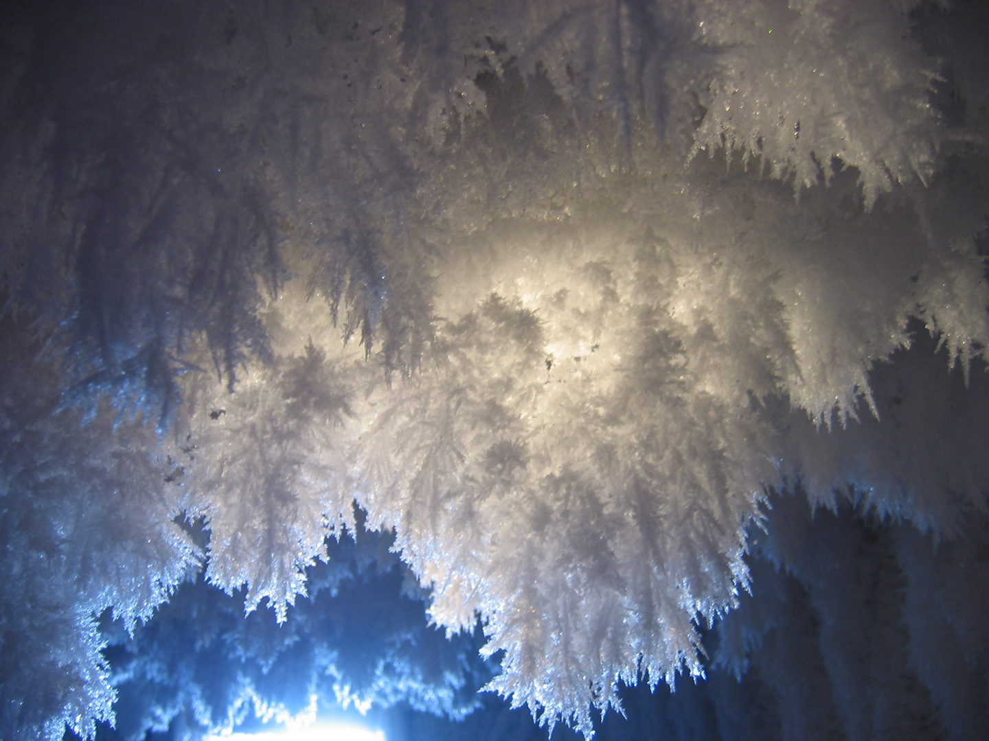 fleur de glace en macro