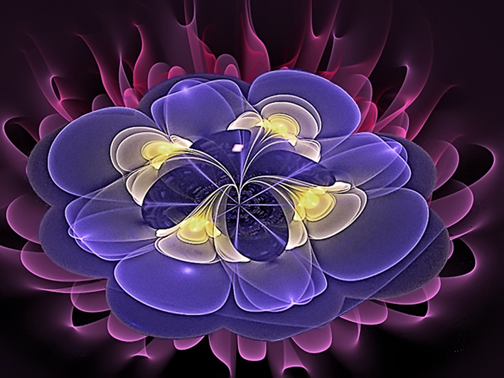 fleur de nuit photo et image | graphisme 2d, fractales, digiart Images  fotocommunity