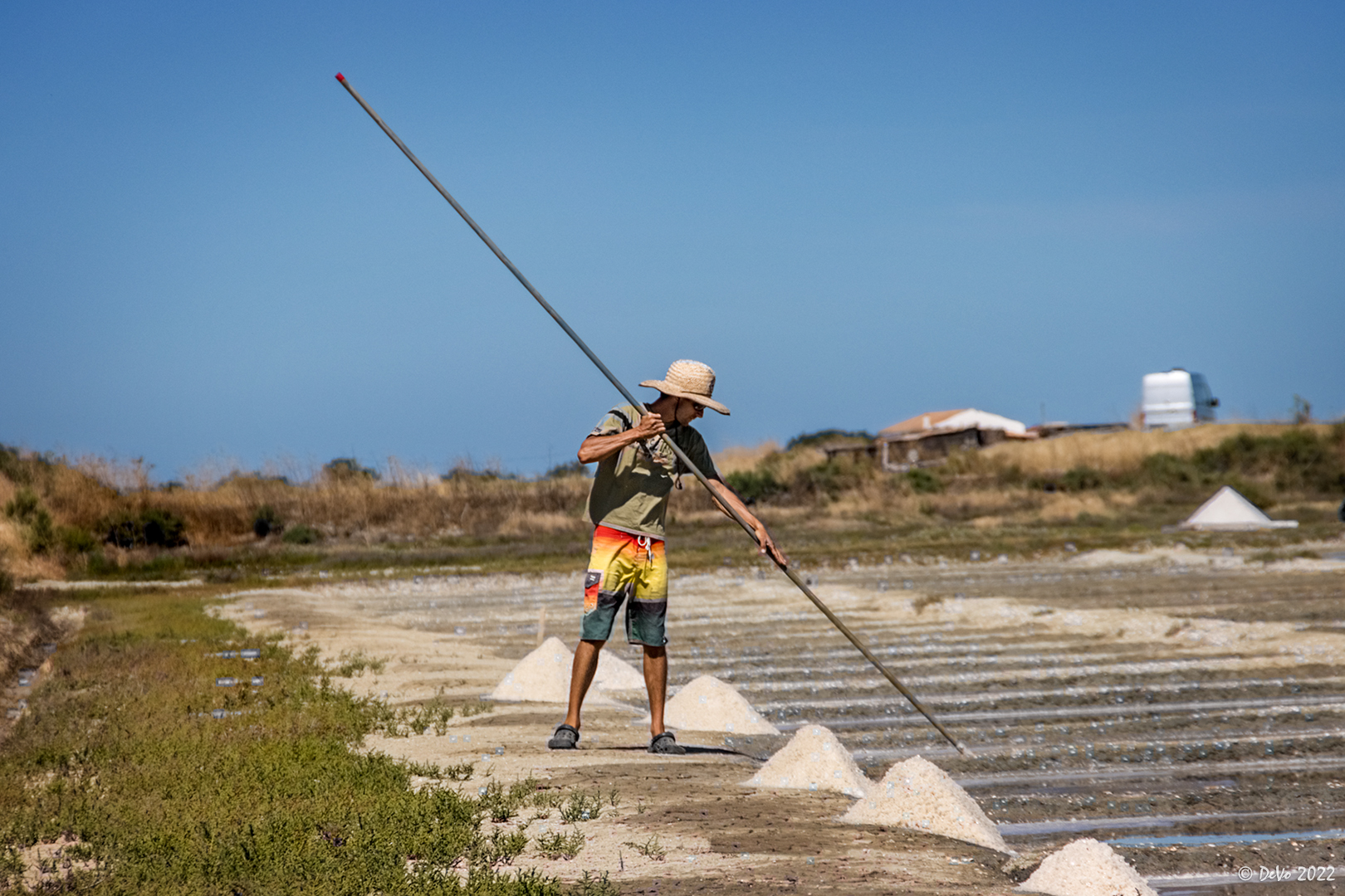 Fleur de Sel