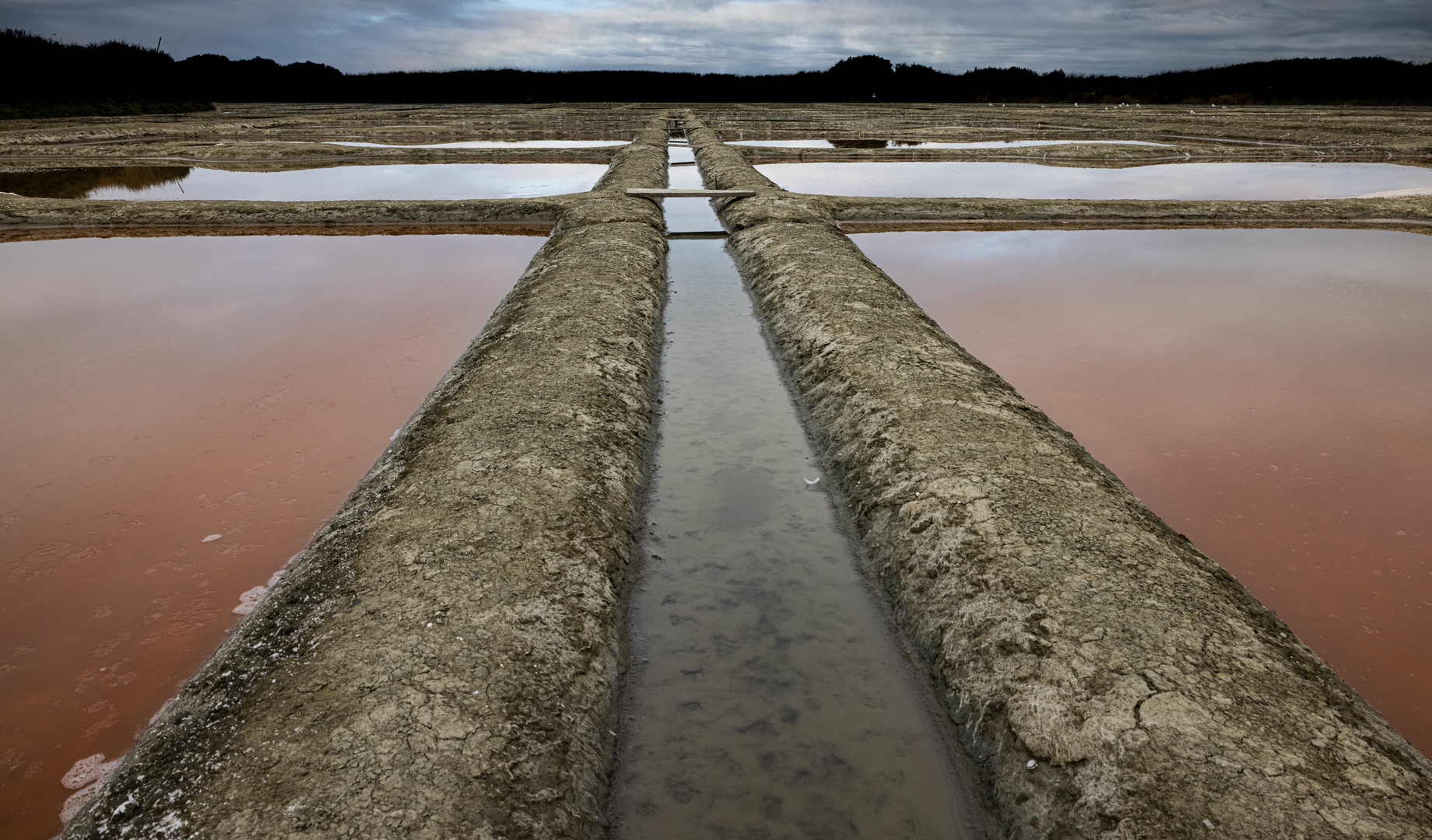 Fleur de sel