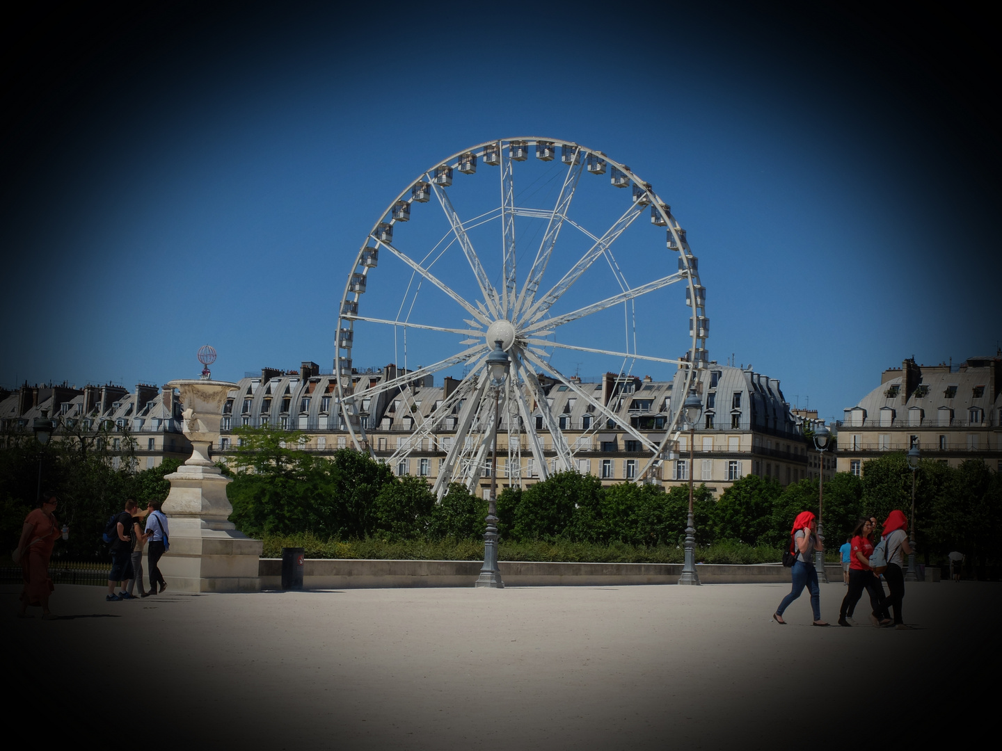 Fleur du pavé Parisien.......