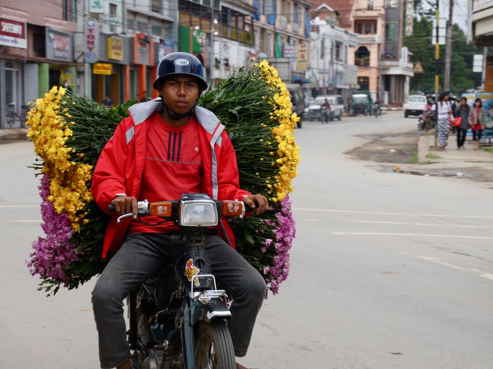 fleurburma :-) ,Pyin Oo Lwin, burma 2011