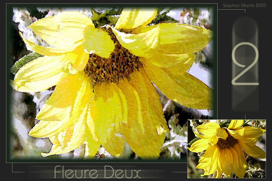 "Fleure Deux"