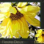 "Fleure Deux"