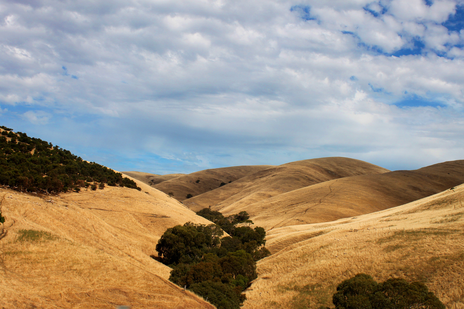 Fleurieu Peninsula - South Australia