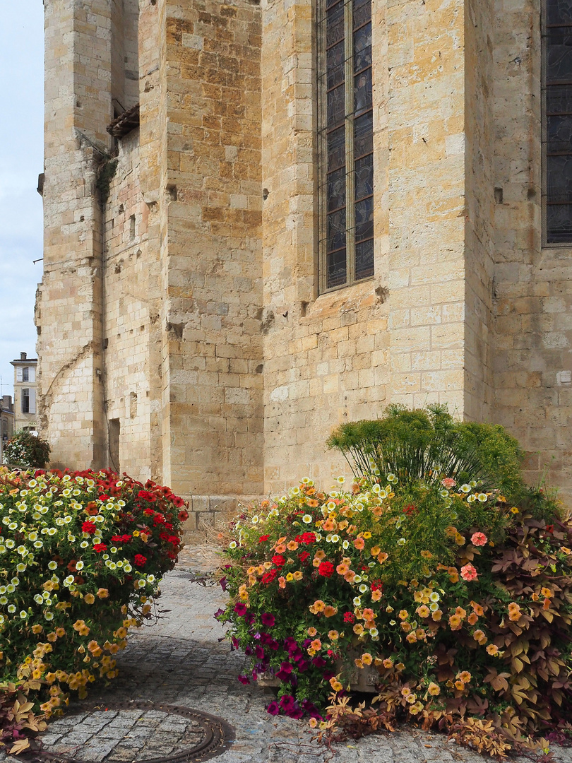 Fleurissement de la Place Saint-Pierre