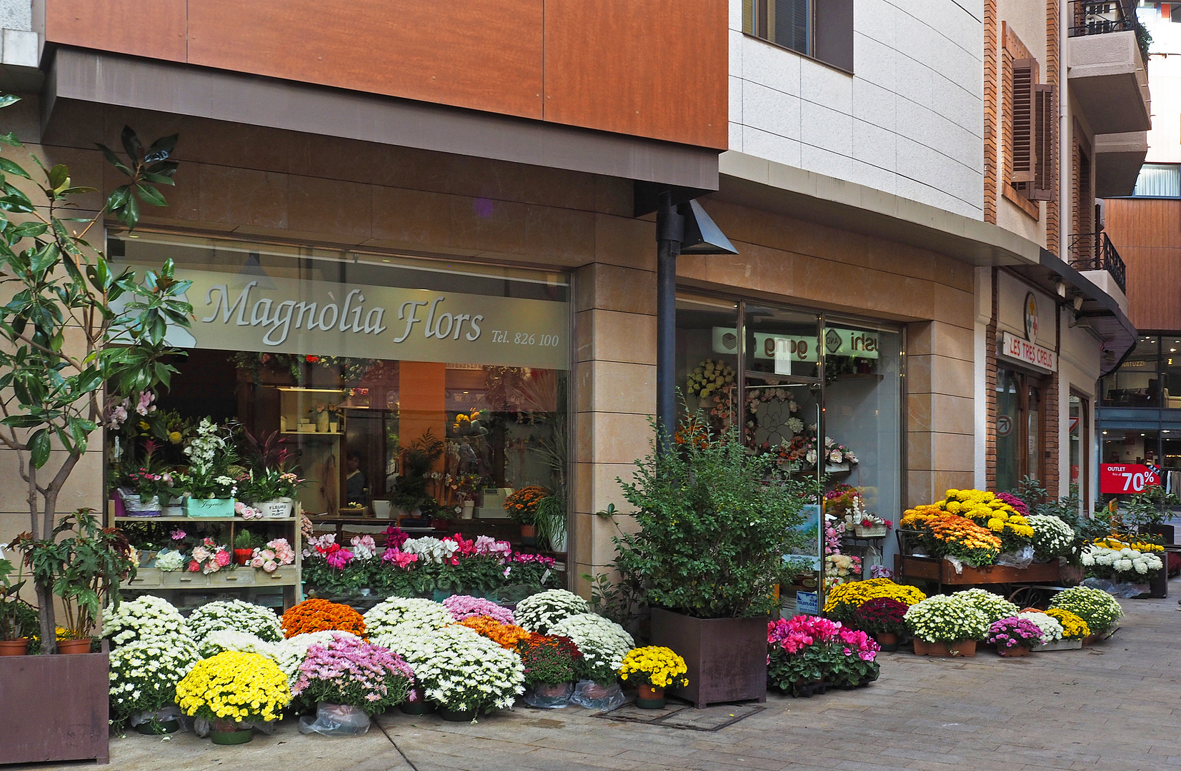 Fleuriste à Andorre-la-Vieille