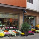 Fleuriste à Andorre-la-Vieille