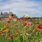 Fleurs au château.