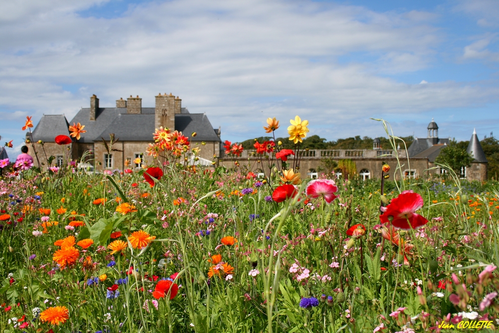 Fleurs au château.