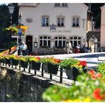 fleurs avant le café du pont