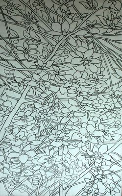 FLEURS D'AMANDES ESQUISSE