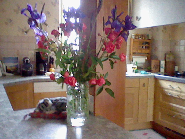 Fleurs dans un pot