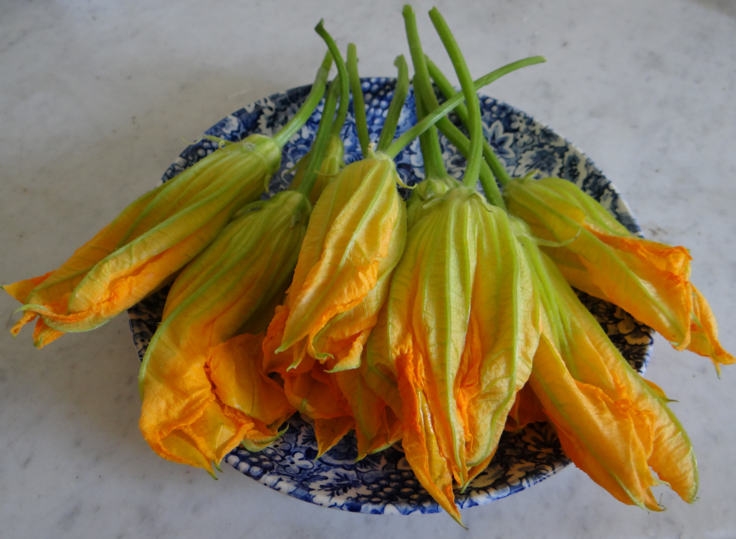 Fleurs de Courgettes