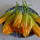 Fleurs de Courgettes