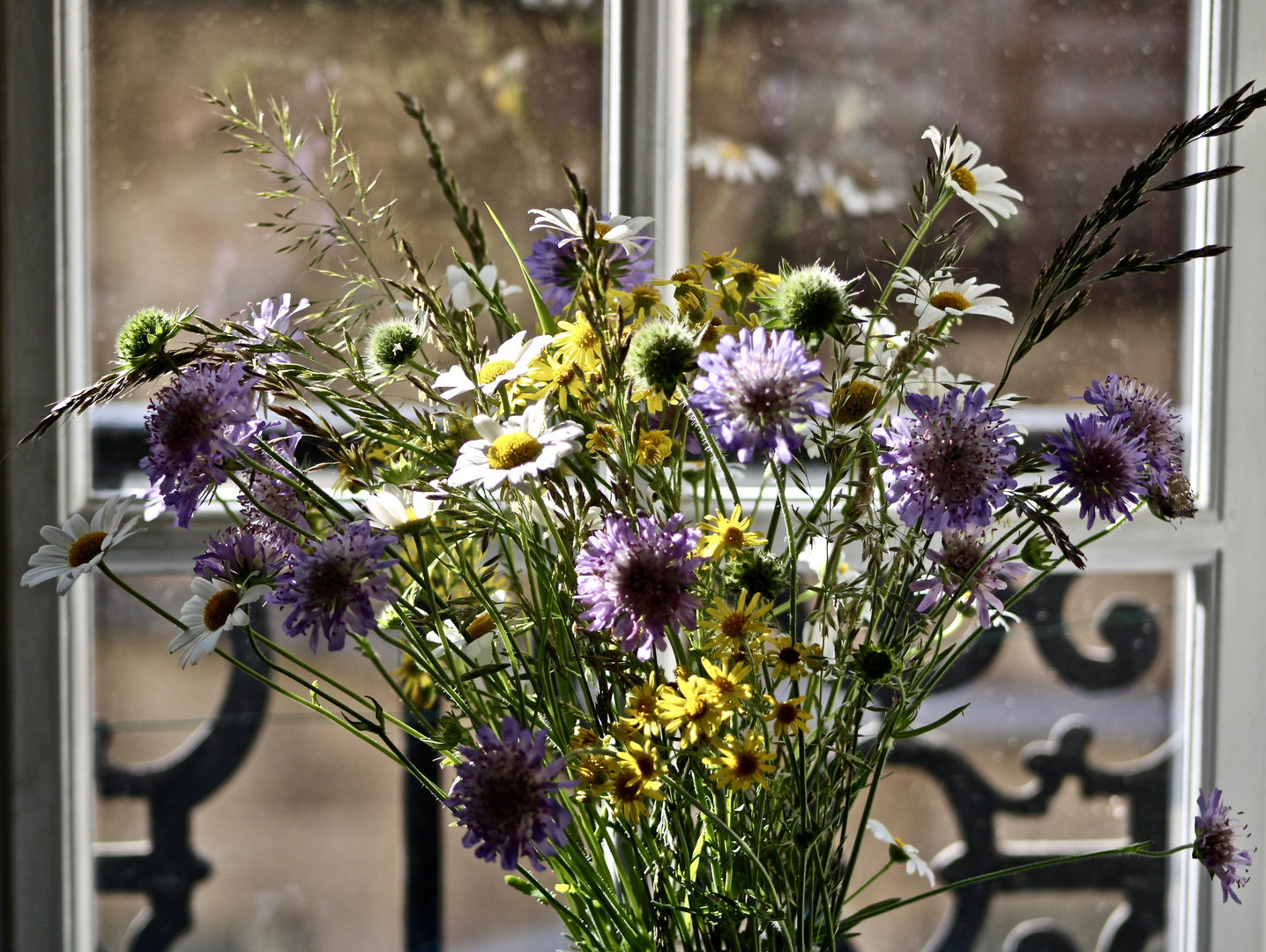 ...fleurs de pré !!!...