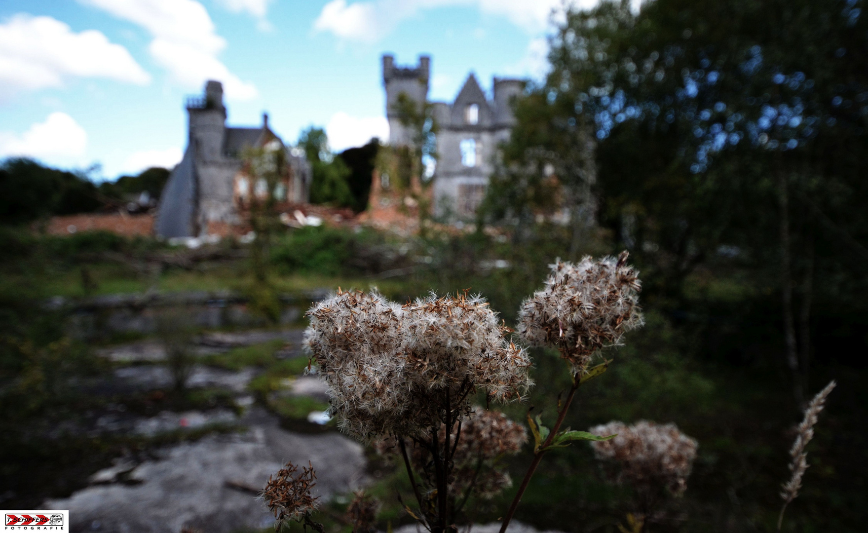 " fleurs du chateau "