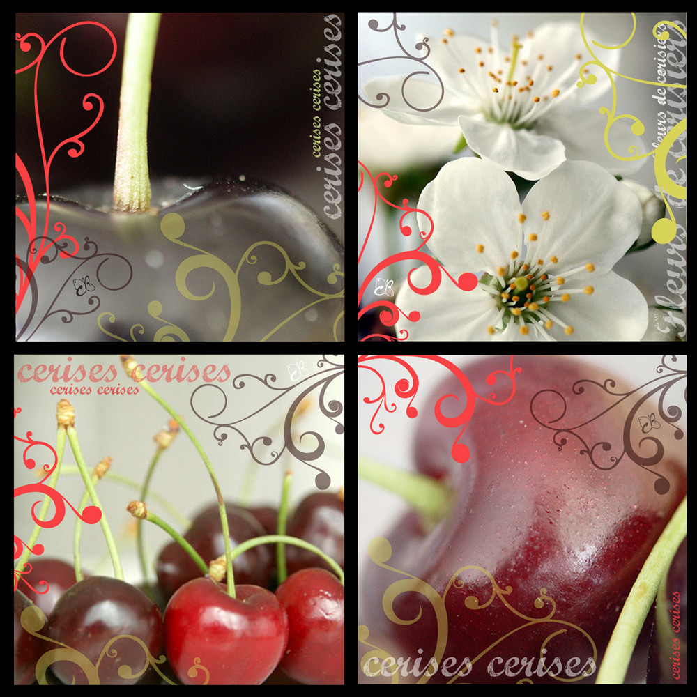 Fleurs et cerises