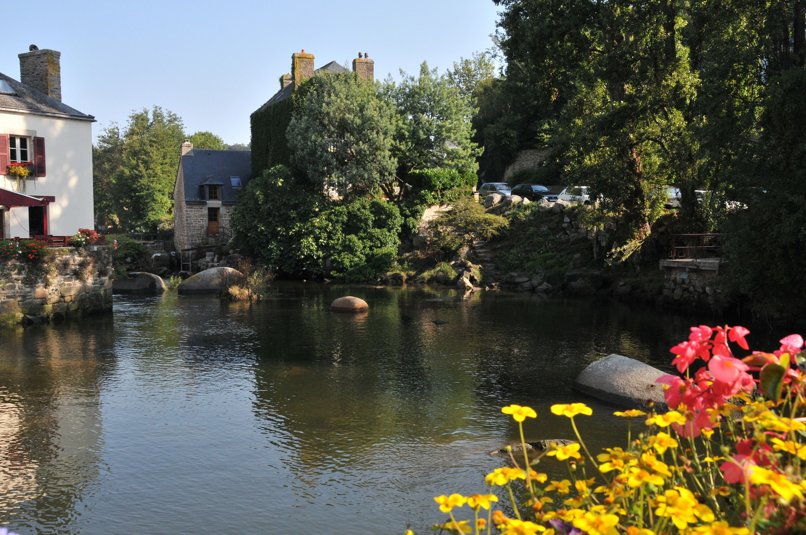 Fleurs et rivières