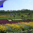 Fleurs et salades dans les jardins du château de Villandry