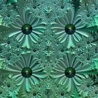 fleurs fractales