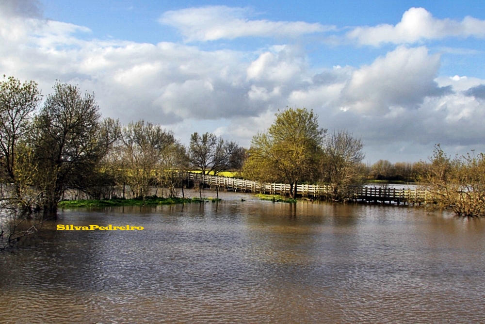 FLEUVE SORRAIA - BENAVENTE