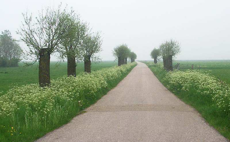 flevoland