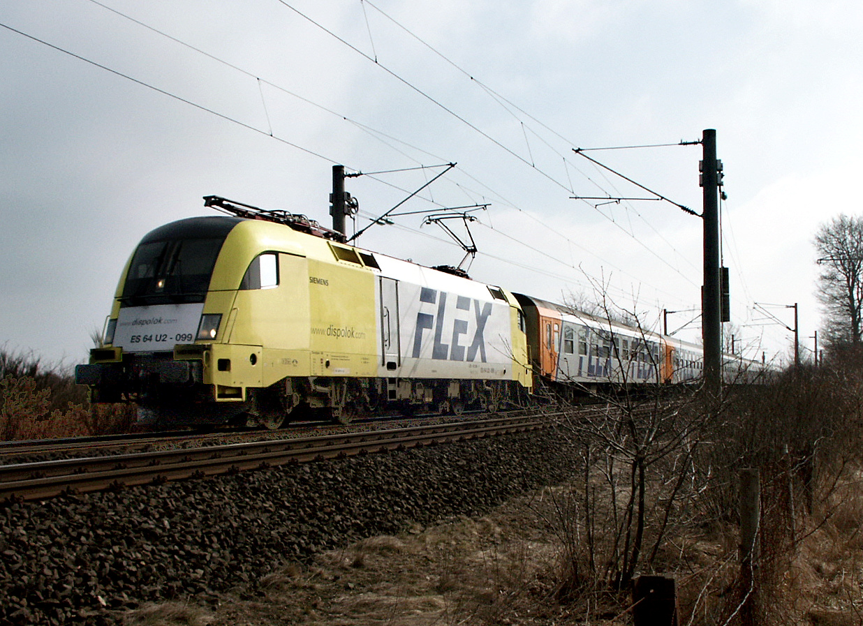 Flex in Schleswig-Holstein