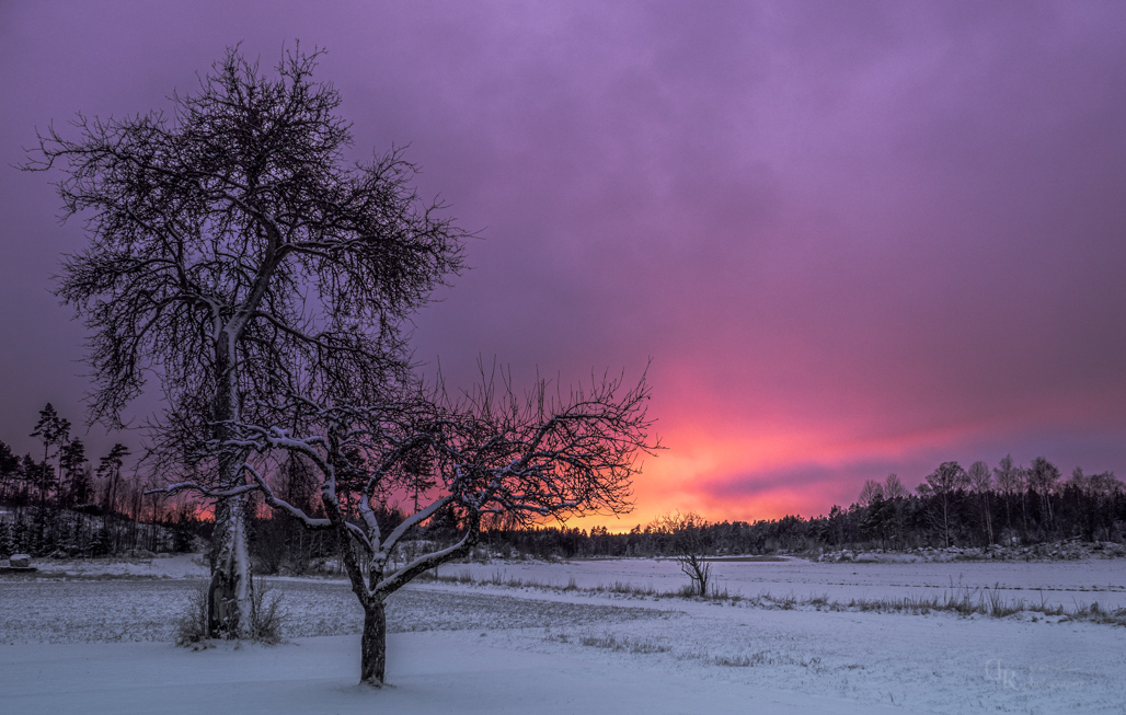 Fløgstad - Rygge - Viken - Norway