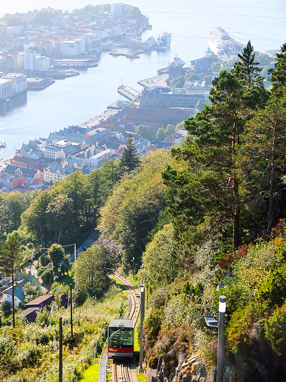 Fløibahn