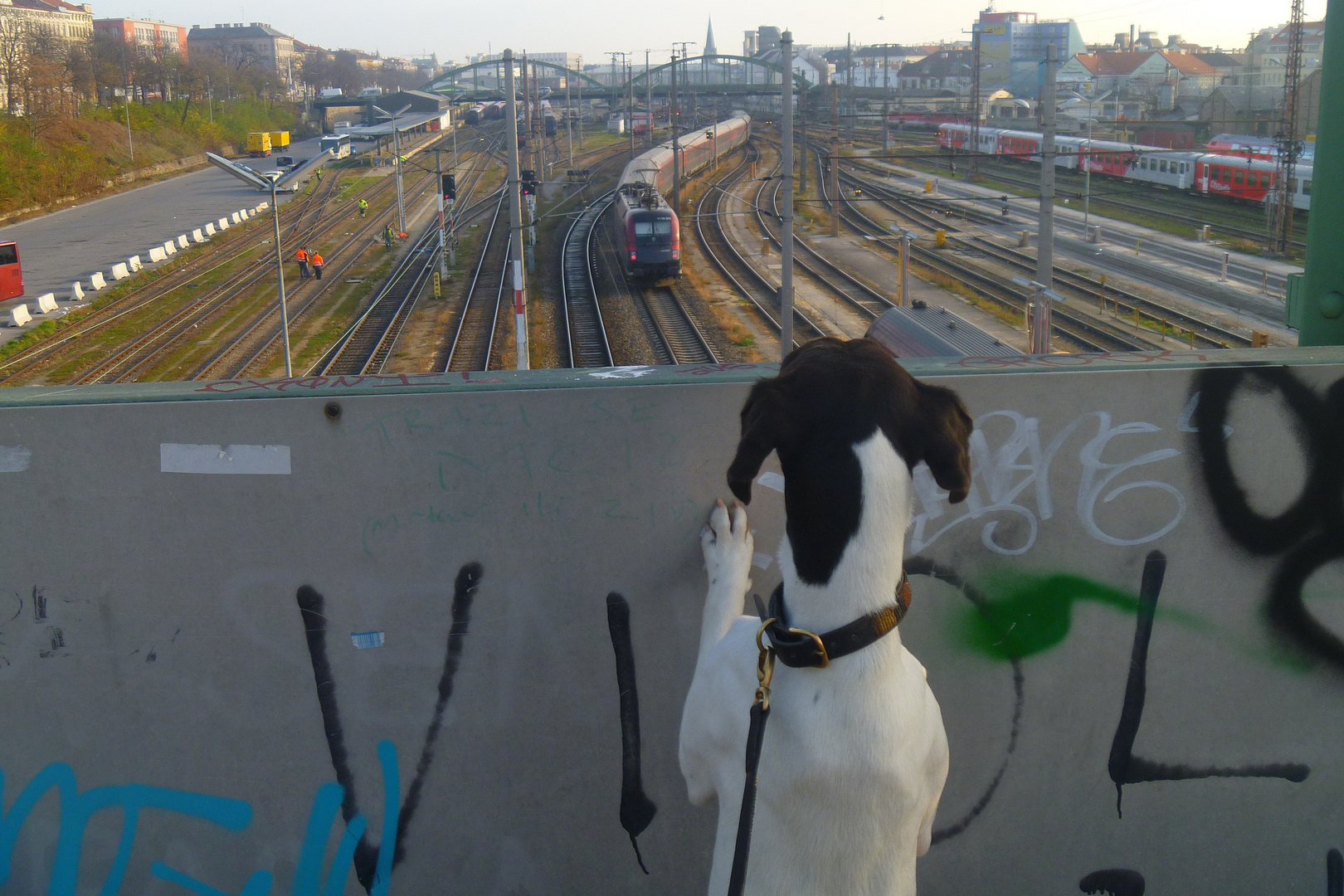 flicka watching the trains go by