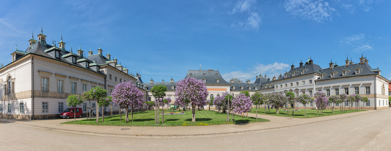 Fliederhof von Schloss Pillnitz im Frühling