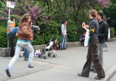 Fliederzeit am Reumannplatz