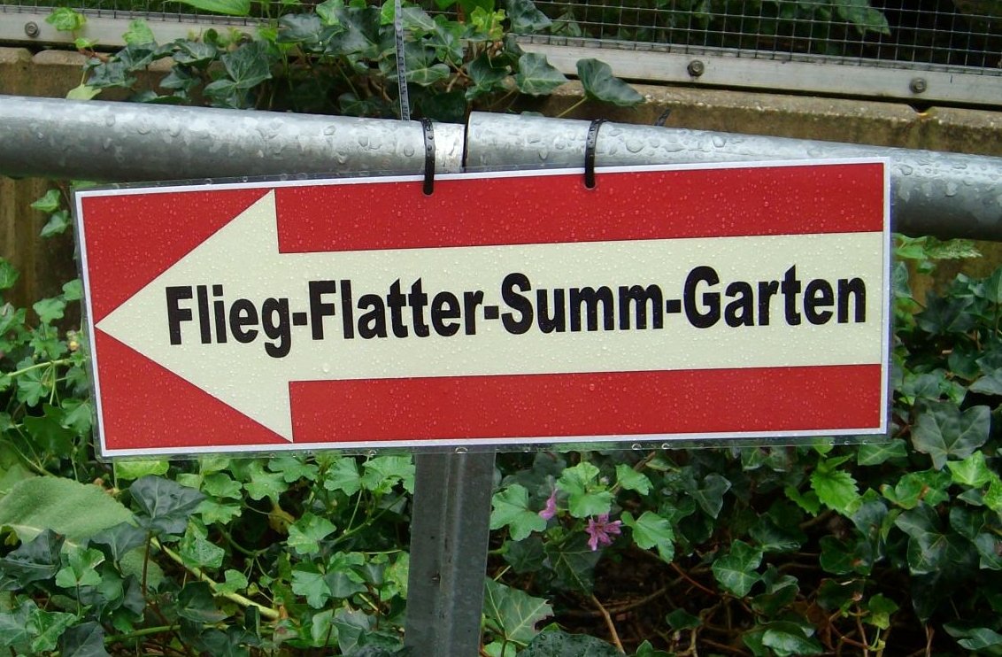 Flieg Flatter Summ Garten