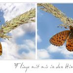 Fliege mit mir in den Himmel hinein