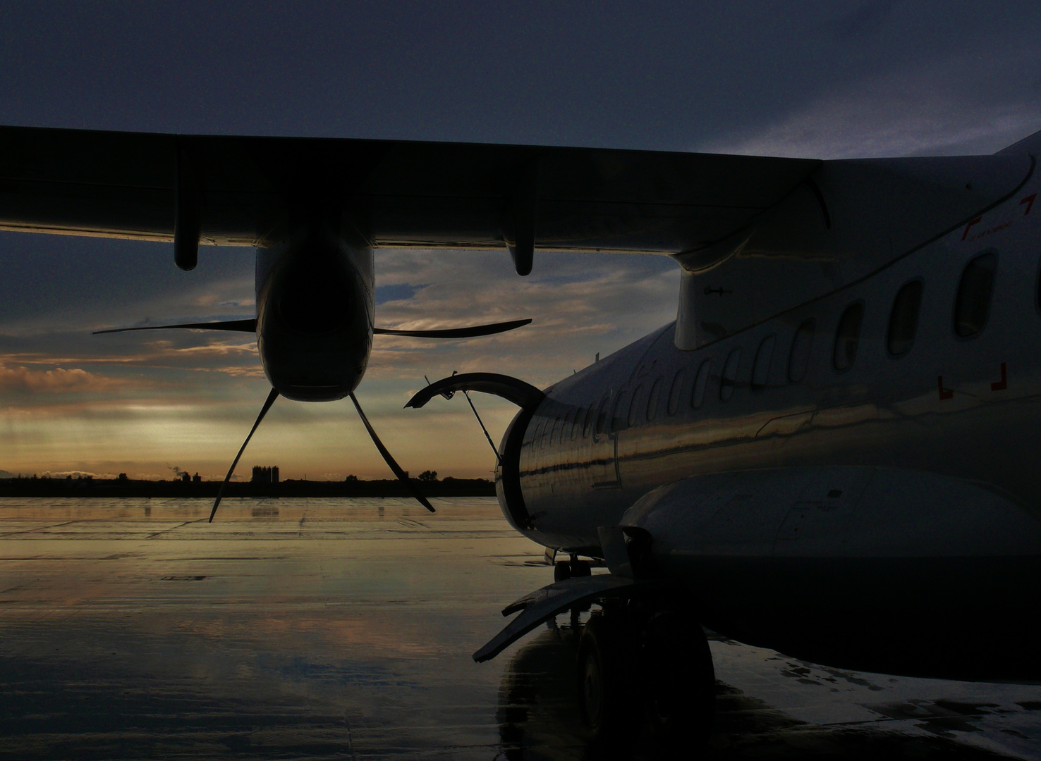 Fliege mit mir in die Heimat!