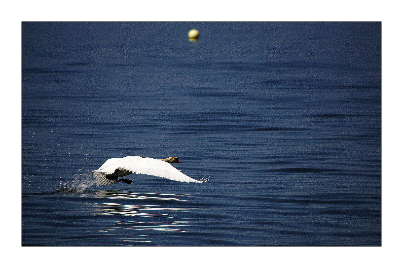 Fliege Richtung Norden