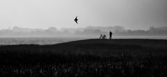 fliegen ..