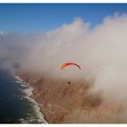 Fliegen auf Lanzarote