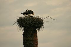 "Fliegen, fliegen ist nicht schwer..."