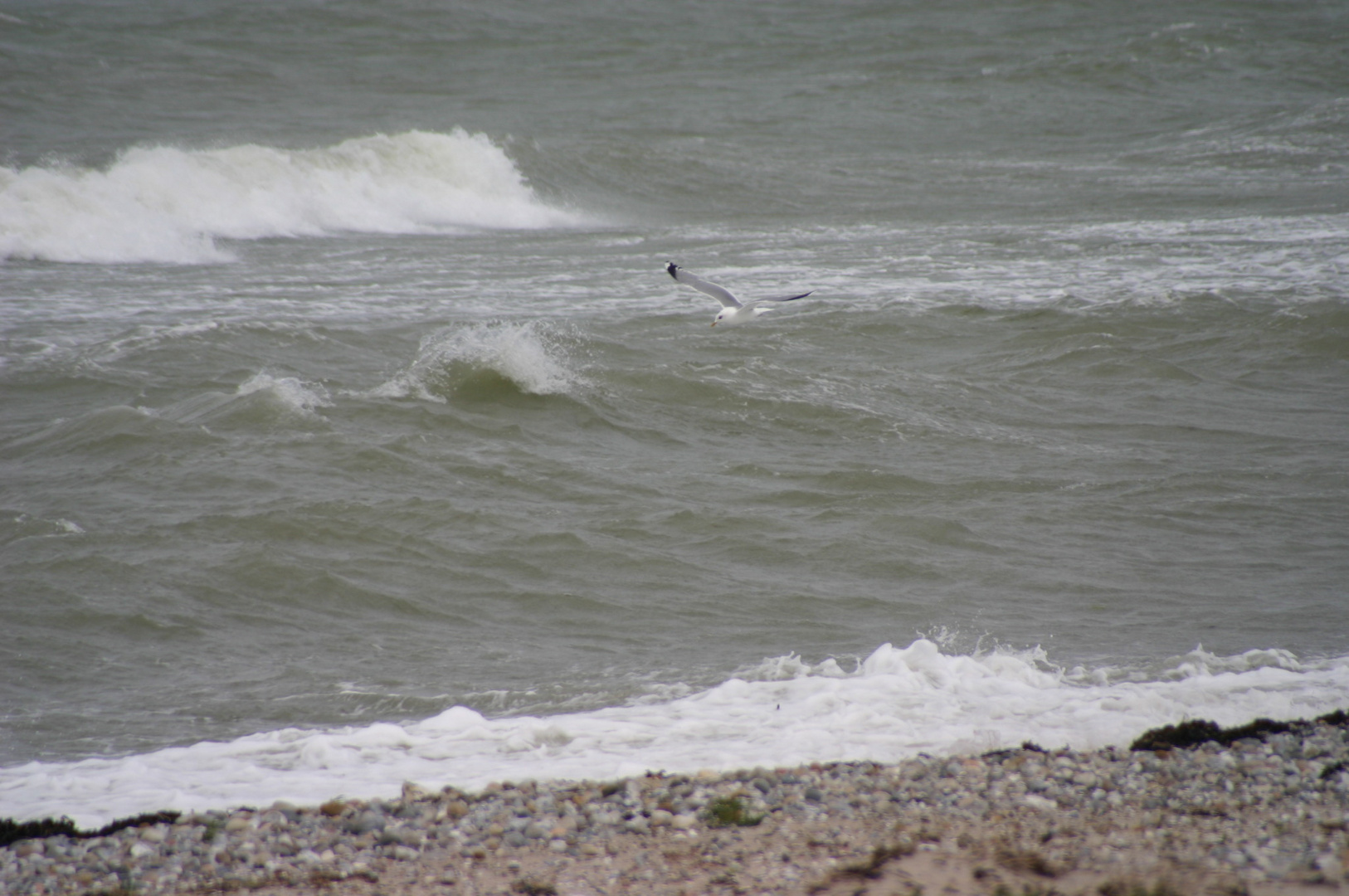 Fliegen gegen den Wind!