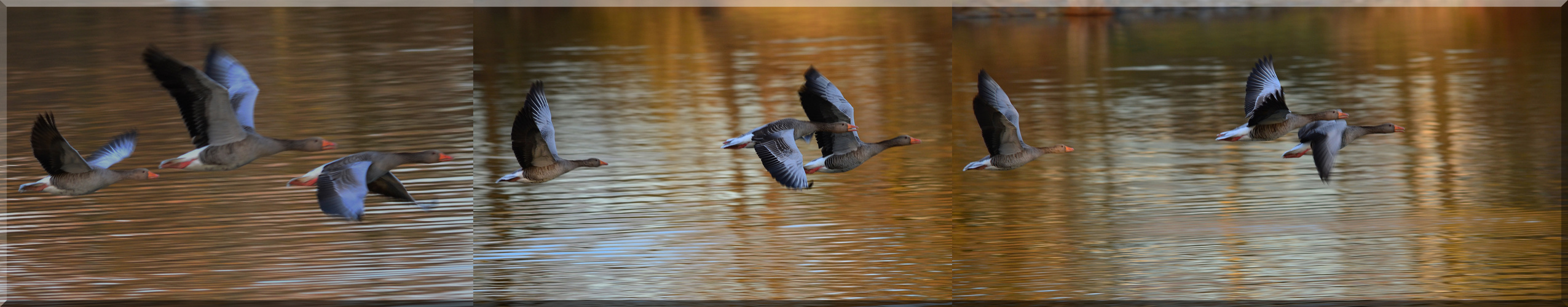 """ Fliegen im .......