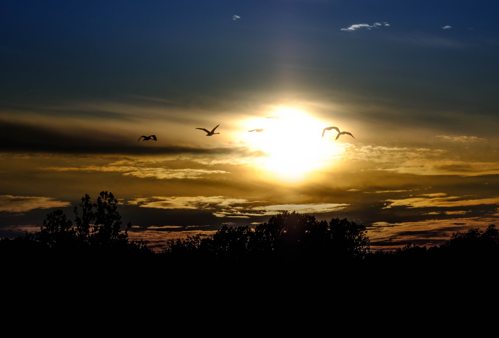 fliegen ins Licht